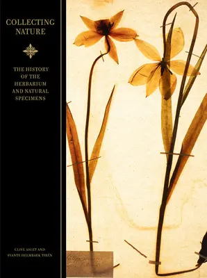 Das Sammeln der Natur: Die Geschichte des Herbariums und der Naturpräparate - Collecting Nature: The History of the Herbarium and Natural Specimens