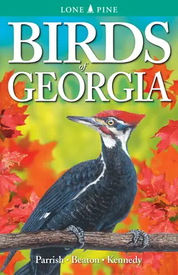 Vögel von Georgia - Birds of Georgia