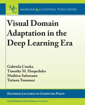 Visuelle Domänenanpassung in der Ära des Deep Learning - Visual Domain Adaptation in the Deep Learning Era