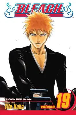 Bleach, Band 19: Band 19 - Bleach, Vol. 19: Volume 19
