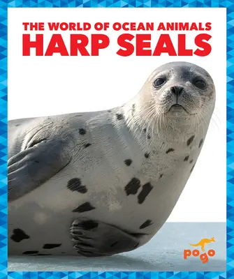 Harpunenrobben - Harp Seals