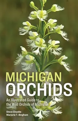 Michigan Orchideen - Michigan Orchids