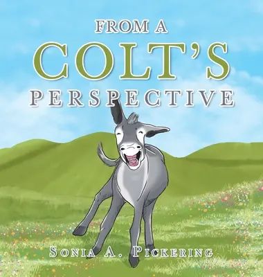Aus der Sicht eines Colts - From a Colt's Perspective
