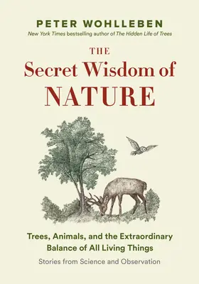 Das geheime Netzwerk der Natur: Bäume, Tiere und das außergewöhnliche Gleichgewicht aller lebenden Dinge - Geschichten aus Wissenschaft und Beobachtung - The Secret Network of Nature: Trees, Animals, and the Extraordinary Balance of All Living Things-- Stories from Science and Observation