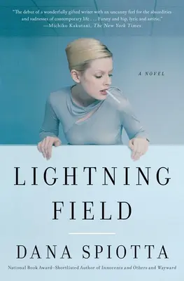 Das Blitzfeld - Lightning Field