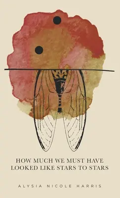 Wie sehr müssen wir für Sterne wie Sterne ausgesehen haben: Gewinner der 2015 New Women's Voices Series - How Much We Must Have Looked Like Stars To Stars: Winner of the 2015 New Women's Voices Series