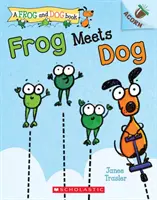 Frosch trifft Hund - Frog Meets Dog