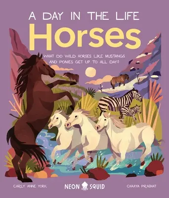 Pferde (ein Tag im Leben): Was machen Wildpferde wie Mustangs und Ponys den ganzen Tag? - Horses (a Day in the Life): What Do Wild Horses Like Mustangs and Ponies Get Up to All Day?