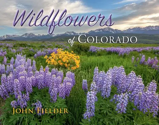 Wildblumen von Colorado - Wildflowers of Colorado