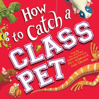 Wie man ein Klassentier fängt - How to Catch a Class Pet