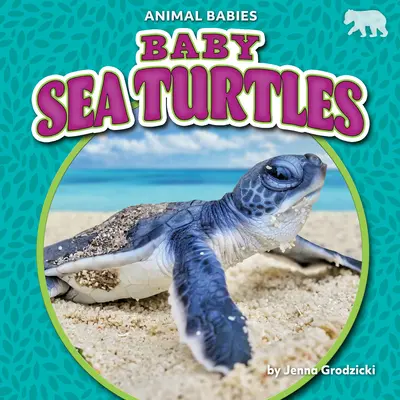 Baby-Seeschildkröten - Baby Sea Turtles