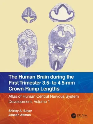 Das menschliche Gehirn im ersten Trimester 3,5- bis 4,5-mm-Scheitel-Steiß-Längen: Atlas der Entwicklung des menschlichen Zentralnervensystems, Band 1 - The Human Brain during the First Trimester 3.5- to 4.5-mm Crown-Rump Lengths: Atlas of Human Central Nervous System Development, Volume 1