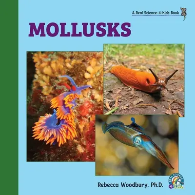 Mollusken - Mollusks