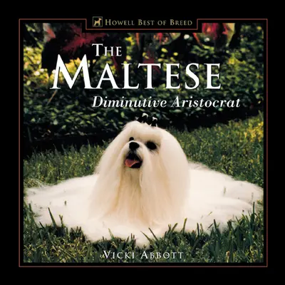 Der Malteser: Winziger Aristokrat - The Maltese: Diminutive Aristocrat