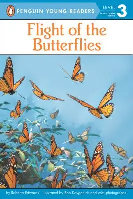 Der Flug der Schmetterlinge - Flight of the Butterflies