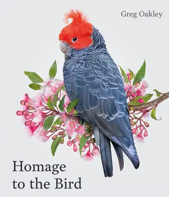 Hommage an den Vogel - Homage to the Bird