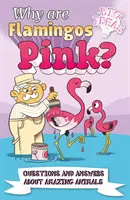 Warum sind Flamingos rosa? - Fragen und Antworten zu erstaunlichen Tieren (Potter William (Autor)) - Why Are Flamingos Pink? - Questions and Answers About Amazing Animals (Potter William (Author))