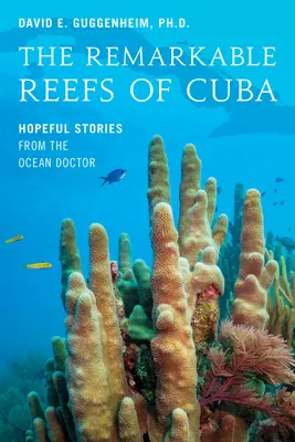 Die bemerkenswerten Riffe von Kuba: Hoffnungsvolle Geschichten vom Meeresarzt - The Remarkable Reefs of Cuba: Hopeful Stories from the Ocean Doctor