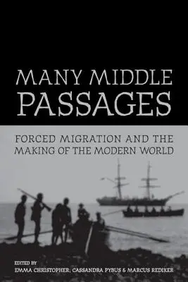 Viele Mitteldurchgänge: Erzwungene Migration und die Entstehung der modernen WeltBand 5 - Many Middle Passages: Forced Migration and the Making of the Modern Worldvolume 5