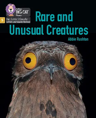 Rare and Unusual Creatures - Phase 5 Set 5 Stretch and Challenge