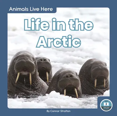 Leben in der Arktis - Life in the Arctic
