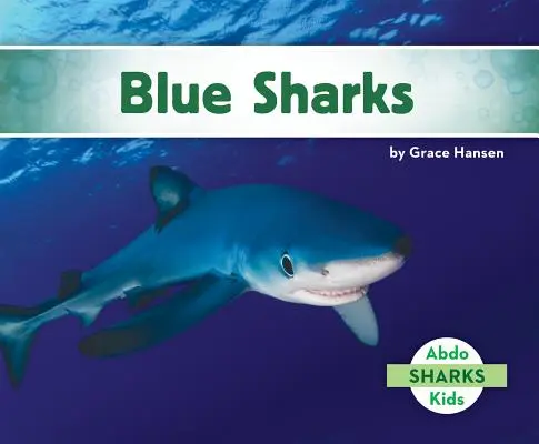 Blauhaie - Blue Sharks