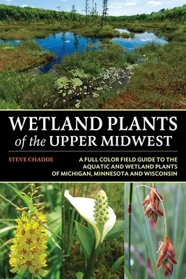 Sumpfpflanzen des oberen Mittleren Westens - Wetland Plants of the Upper Midwest