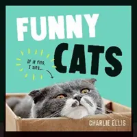 Lustige Katzen - Eine urkomische Sammlung der lustigsten Katzen der Welt und der treffendsten Memes - Funny Cats - A Hilarious Collection of the World's Funniest Felines and Most Relatable Memes