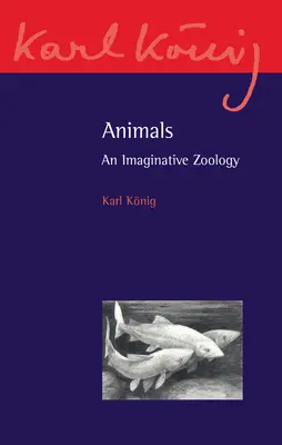 Tiere: Eine phantasievolle Zoologie - Animals: An Imaginative Zoology