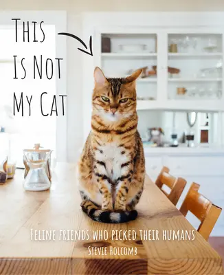 Das ist nicht meine Katze: Katzenfreunde, die sich ihre Menschen ausgesucht haben - This Is Not My Cat: Feline Friends Who Picked Their Humans