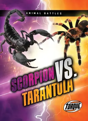 Skorpion vs. Vogelspinne - Scorpion vs. Tarantula