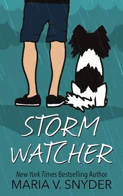 Der Sturmwächter - Storm Watcher