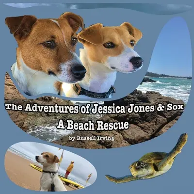 Die Abenteuer von Jessica Jones und Sox - Eine Strandrettung - The Adventures of Jessica Jones & Sox - A Beach Rescue