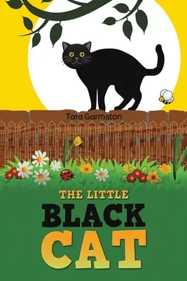 Kleine schwarze Katze - Little Black Cat