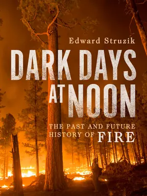 Dunkle Tage zur Mittagszeit: Die Zukunft des Feuers - Dark Days at Noon: The Future of Fire