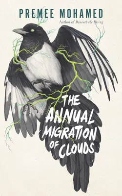 Die jährliche Wanderung der Wolken - The Annual Migration of Clouds