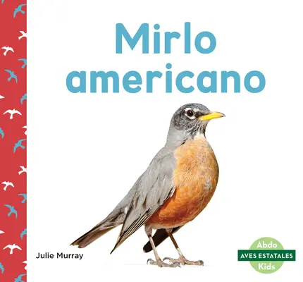 Mirlo Americano (Amerikanische Rotkehlchen) - Mirlo Americano (American Robins)