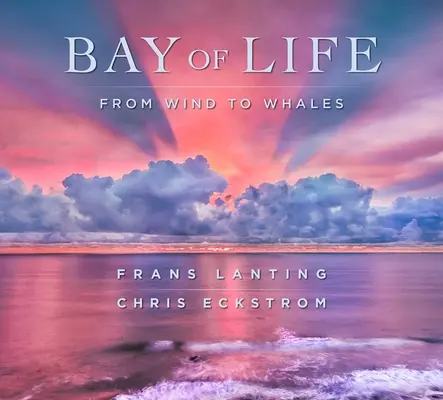 Die Bucht des Lebens: Vom Wind zu den Walen - Bay of Life: From Wind to Whales