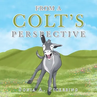 Aus der Sicht eines Colts - From a Colt's Perspective