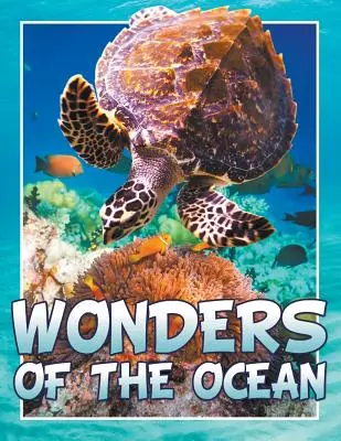 Die Wunder des Ozeans - Wonders of the Ocean