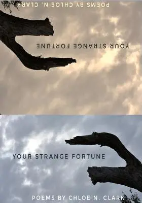 Dein seltsames Glück - Your Strange Fortune