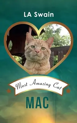 Mac: Die erstaunlichste Katze - Mac: Most Amazing Cat