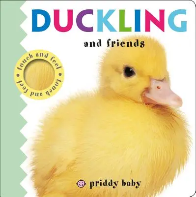 Entenküken und Freunde - Duckling and Friends