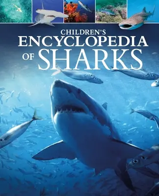 Kinder-Lexikon der Haie - Children's Encyclopedia of Sharks