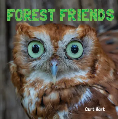 Freunde des Waldes - Forest Friends