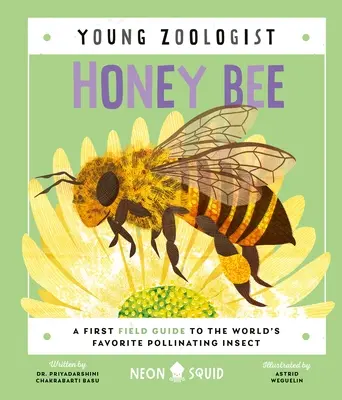 Honigbiene (Junger Zoologe): Ein erster Feldführer für das beliebteste bestäubende Insekt der Welt - Honey Bee (Young Zoologist): A First Field Guide to the World's Favorite Pollinating Insect