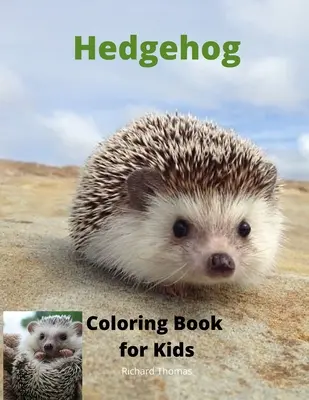 Igel-Malbuch für Kinder: Kinder-Aktivitätsbuch für Jungen und Mädchen im Alter von 3-8 Jahren mit super süßem Igel Ein super cooles Geschenk für Jungen und Mädchen im Alter von - Hedgehog Coloring Book for Kids: Children Activity Book for Boys and Girls Ages 3-8 with Super Cute Hedgehog A Super Cool Gift for Boys and Girls Ages