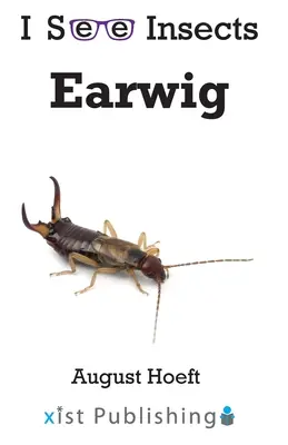 Ohrwurm - Earwig