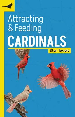 Kardinäle anlocken und füttern - Attracting & Feeding Cardinals