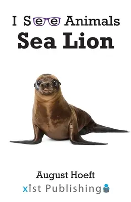 Seelöwe - Sea Lion